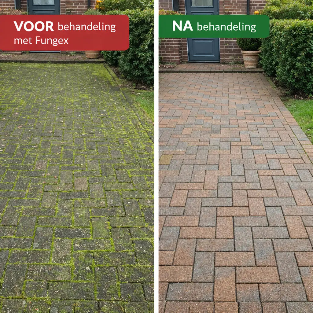 Fungex: Mos en groene aanslag verwijderen zonder schrobben