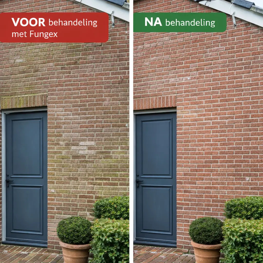 Fungex: Mos en groene aanslag verwijderen zonder schrobben