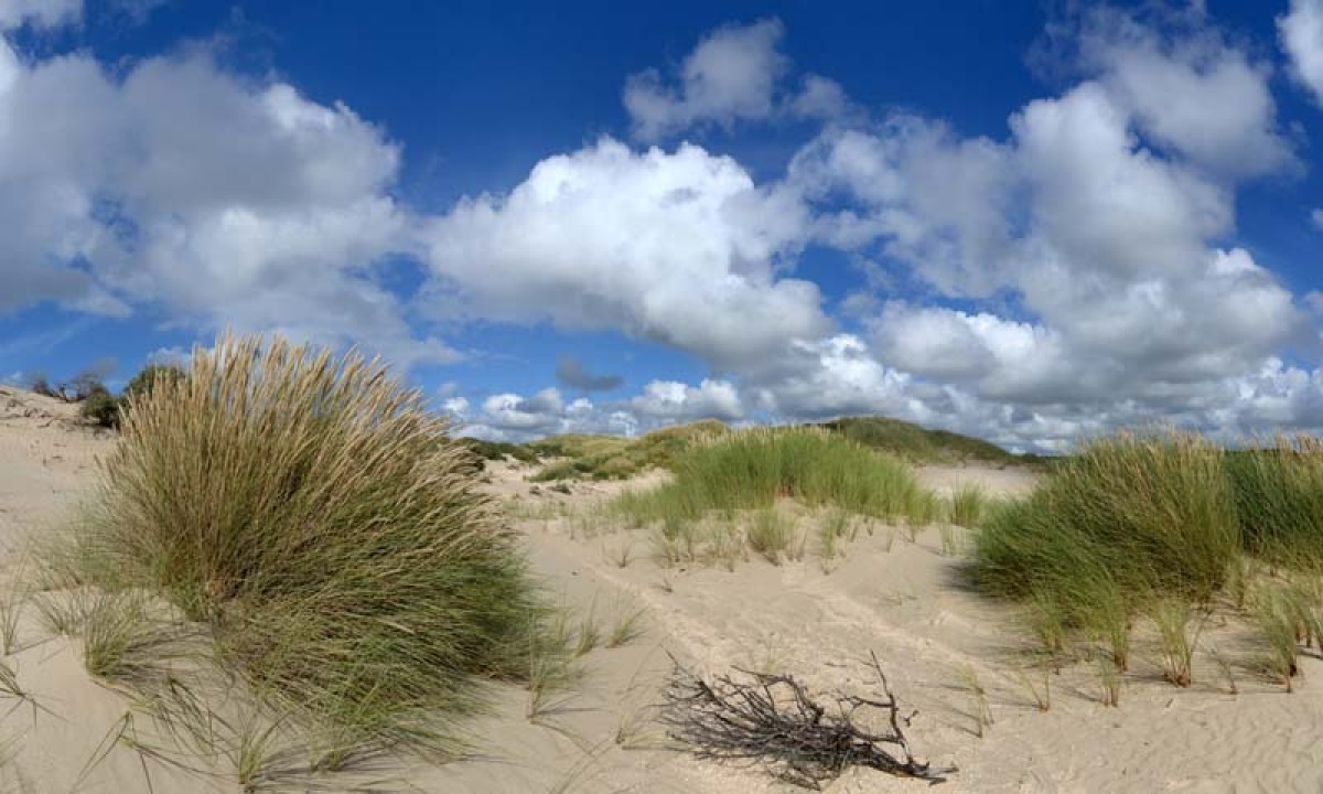 Noordwand Holland Noordwijk Duinlandschap 1434