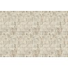 Leopard Walk 15328