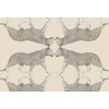 Leopard Walk 15329