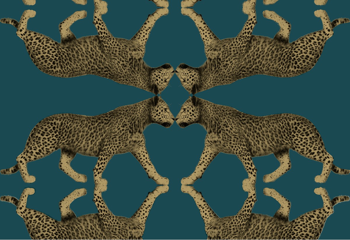 Leopard Walk 15331