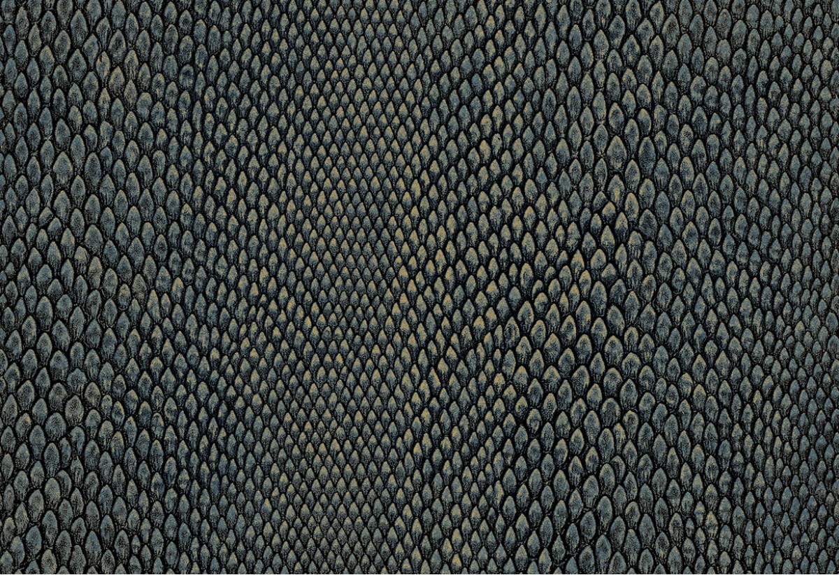 Leopard Walk 15335
