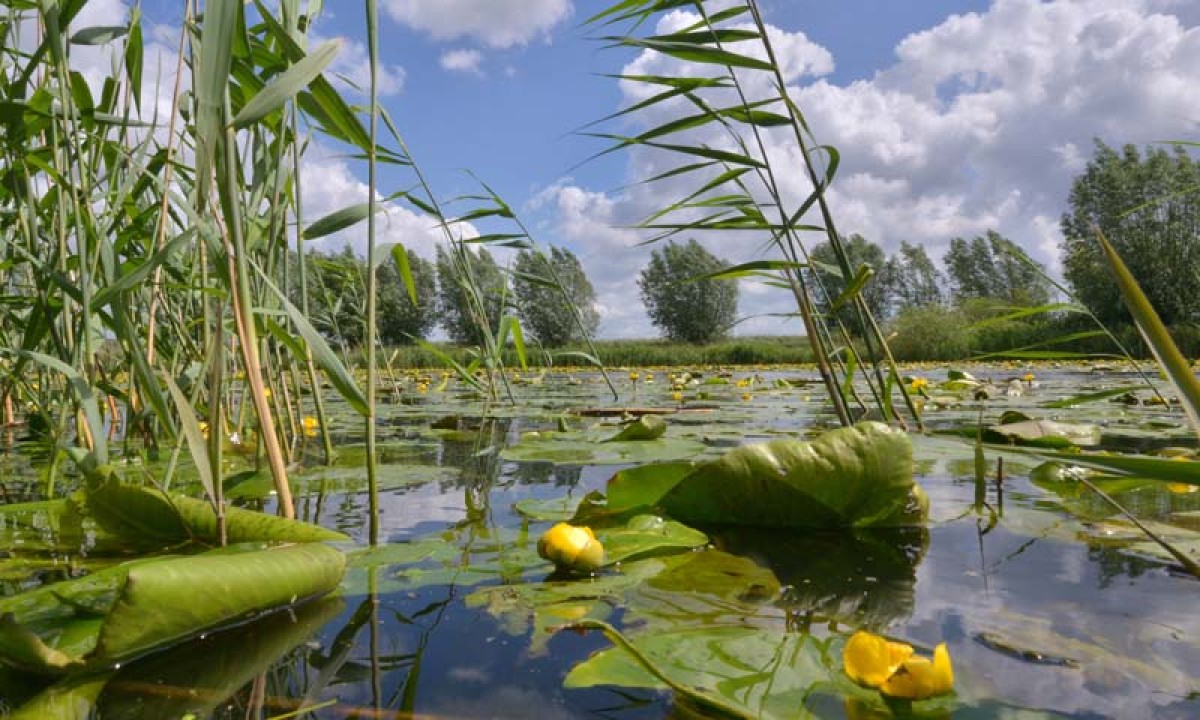 Noordwand Holland Eem II 3043