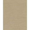 Canvas 313501