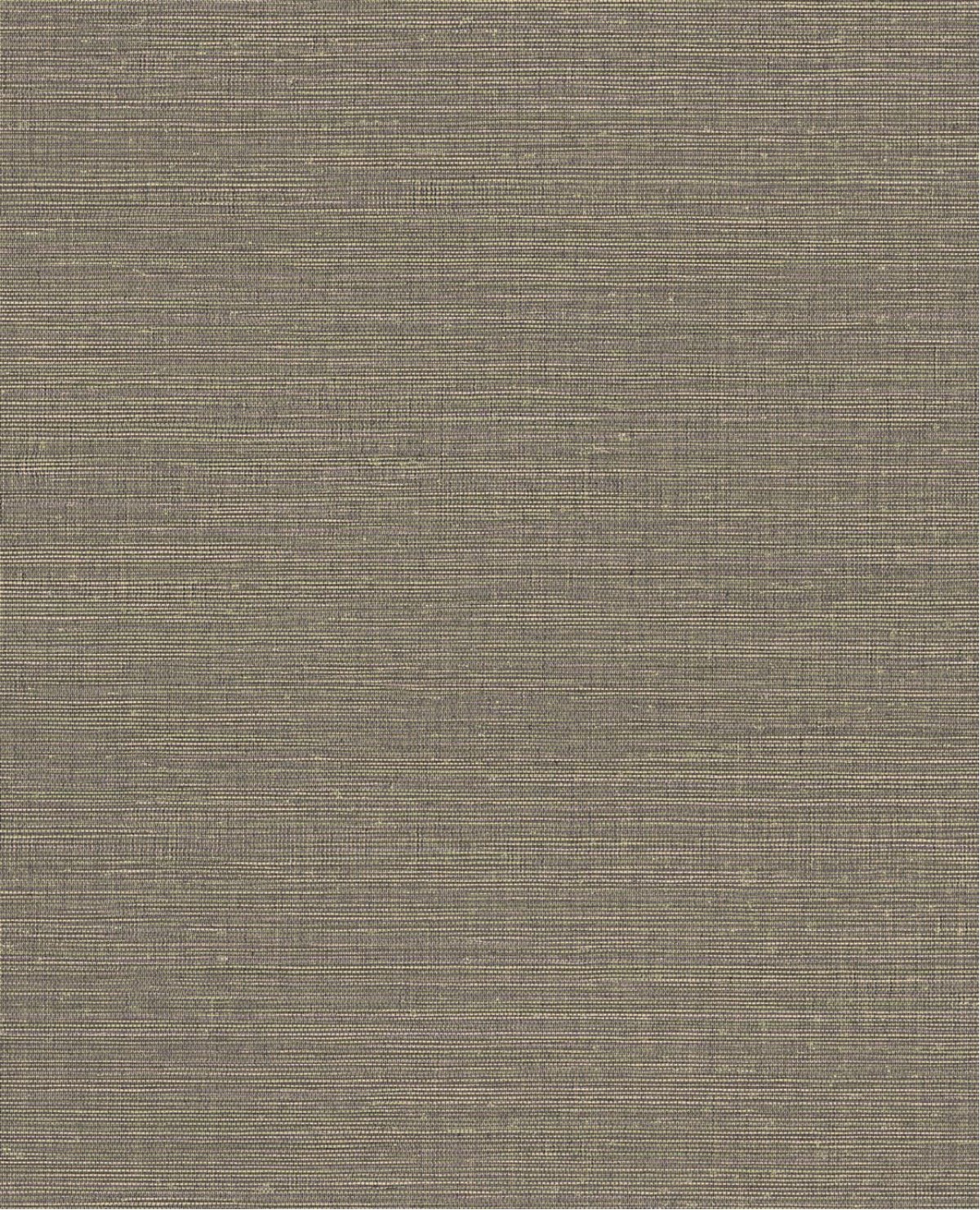 Canvas 313506