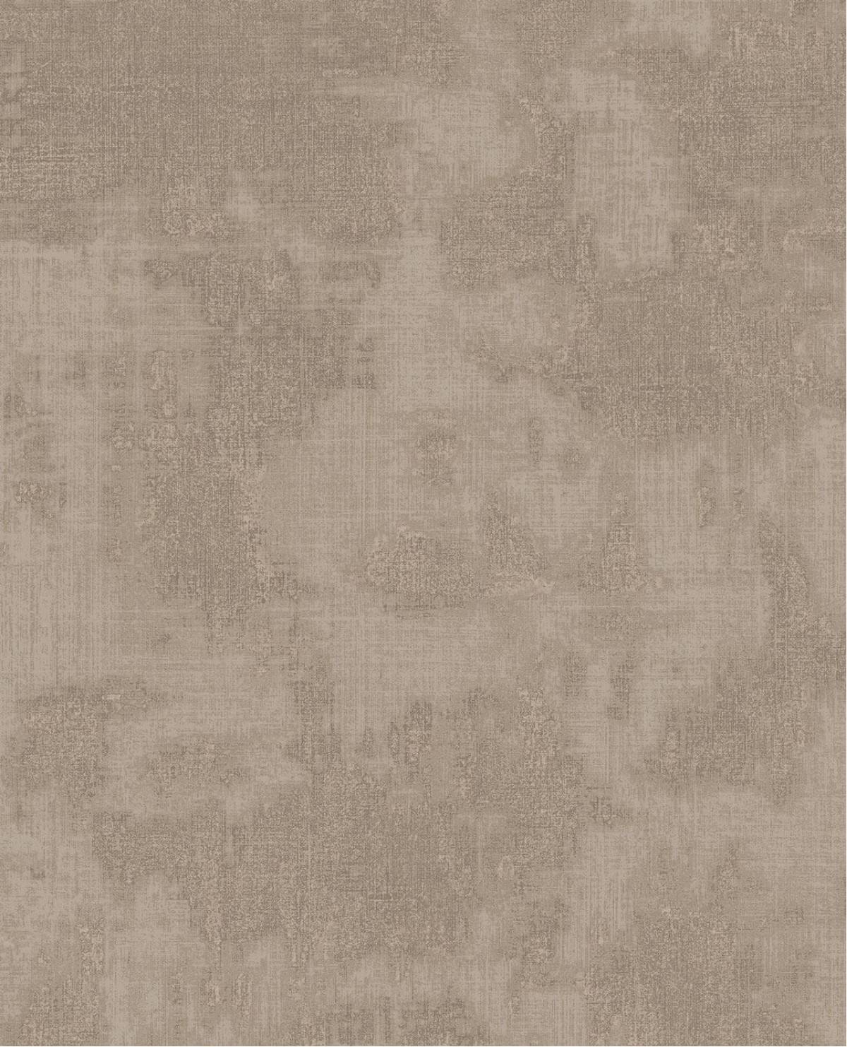Canvas 313521