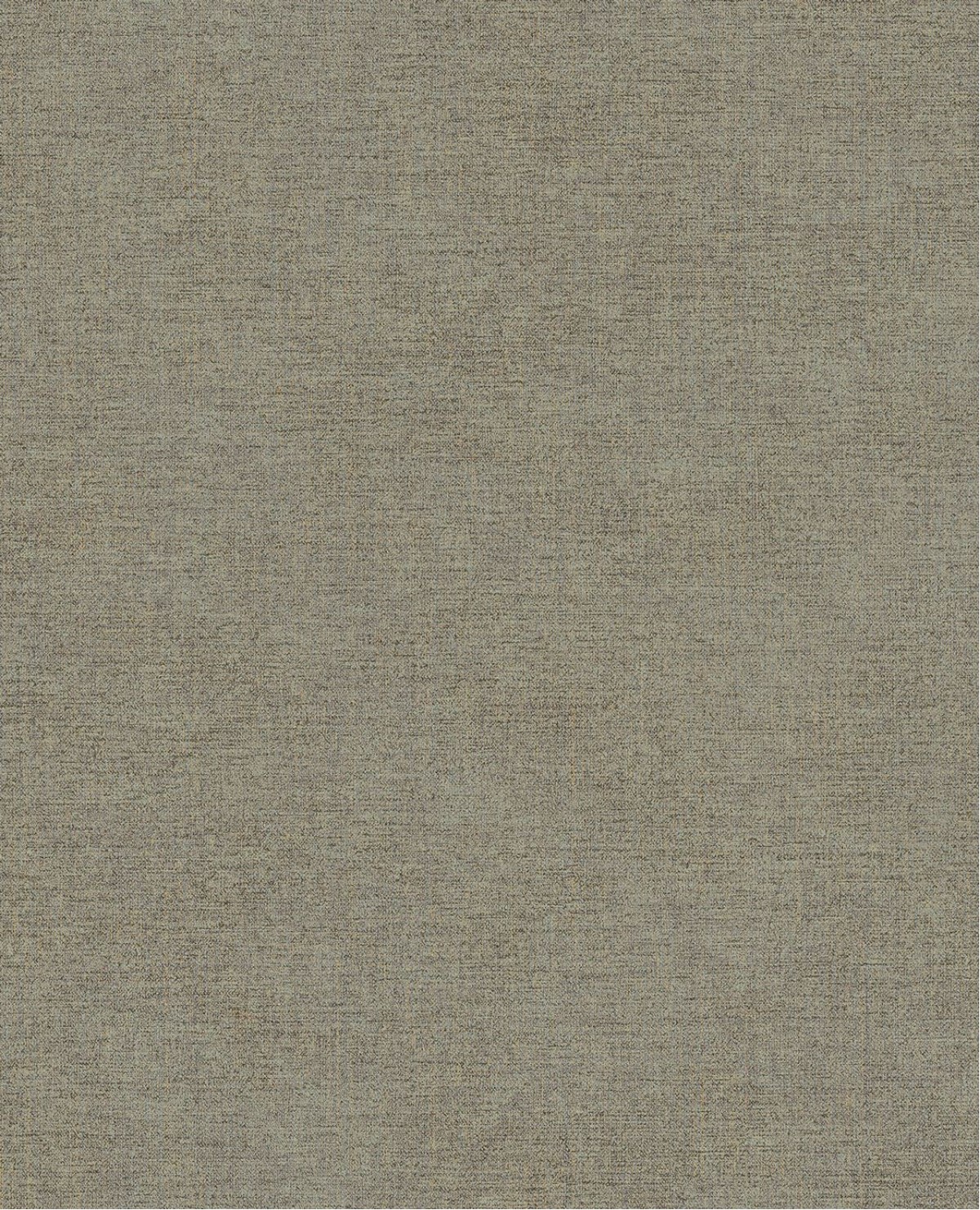 Canvas 313555