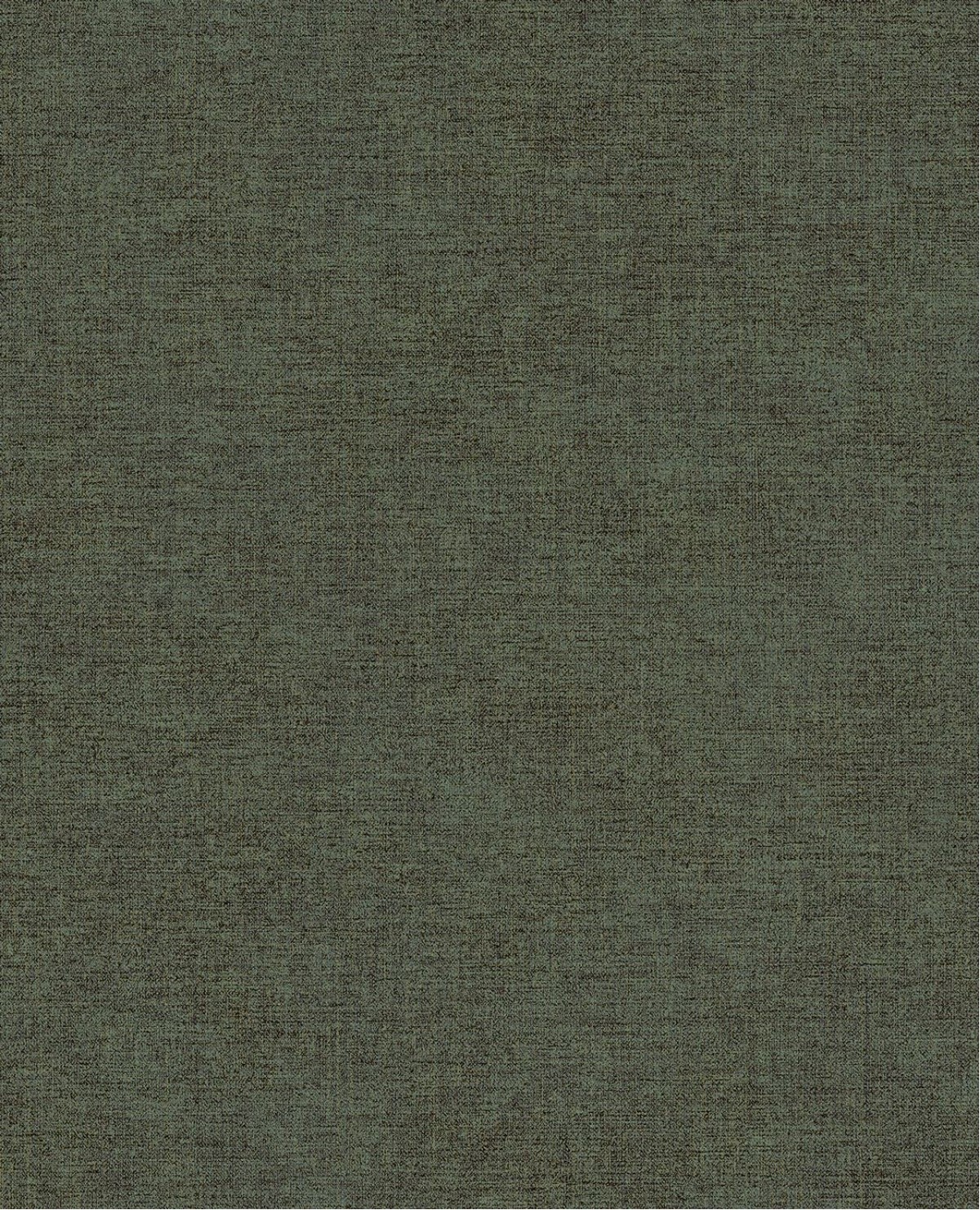 Canvas 313556