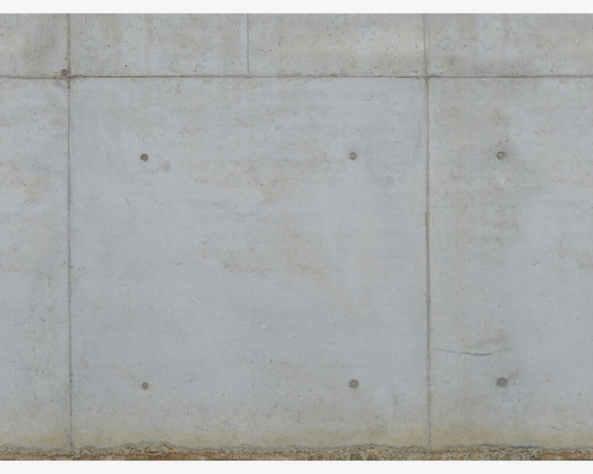 The Wall2 392251