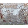 The Wall2 392261