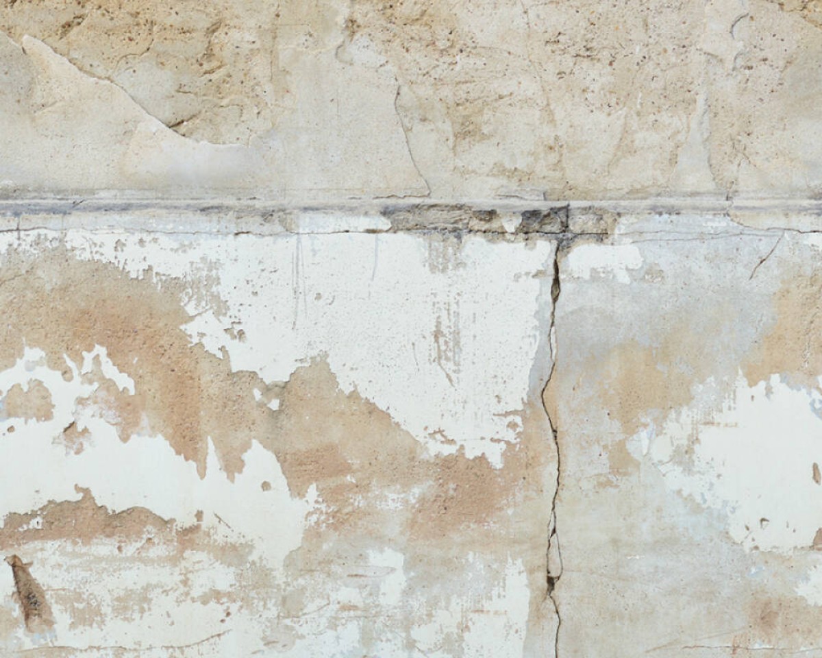The Wall2 392491