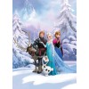 Komar Disney Edition 4 4-498 "Frozen Winter Land"