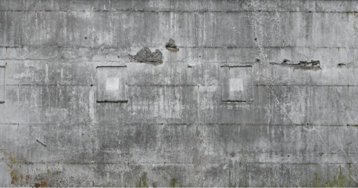 Factory V 445503