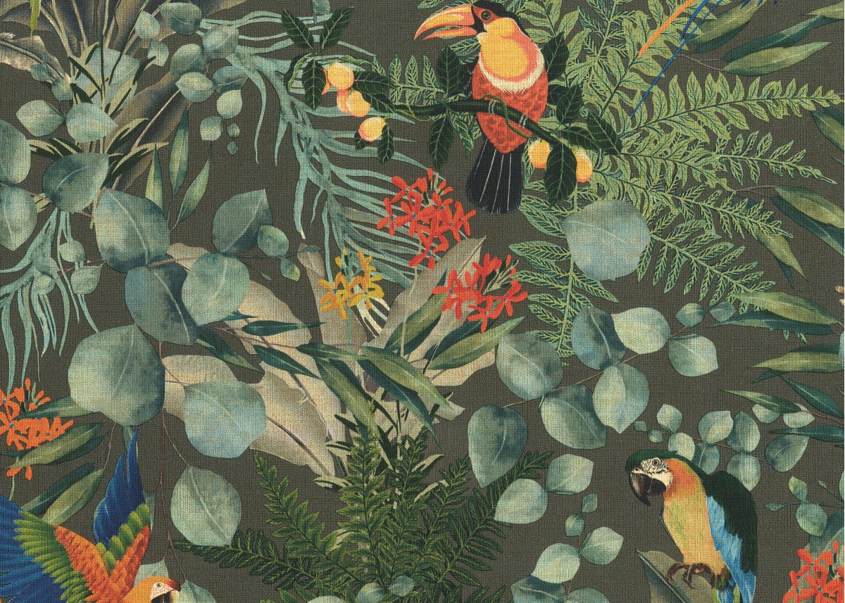 Hooked on Walls Lemuria 60623