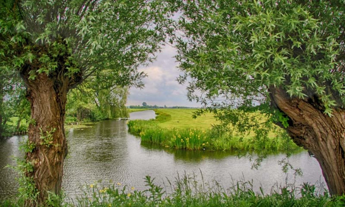 Noordwand Holland Woerden 7590