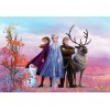 Komar Disney Edition 4 8-4103 "Frozen Iconic" 
