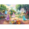 Komar Disney Edition 4 8-4109 "Disney Princess Park"