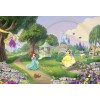 Komar Disney Edition 4 8-449 "Princess Rainbow"
