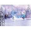 Komar Disney Edition 4 8-499 "Frozen Forest"