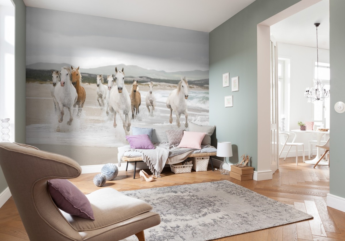 Komar Home Imagine Edition 4 White Horses 8-986