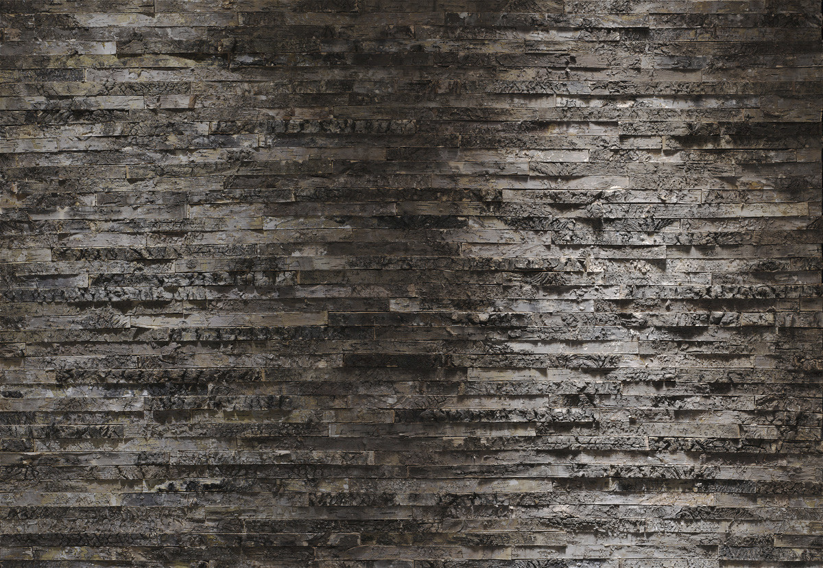 Komar Home Imagine Edition 4 Birkenrinde 8-700