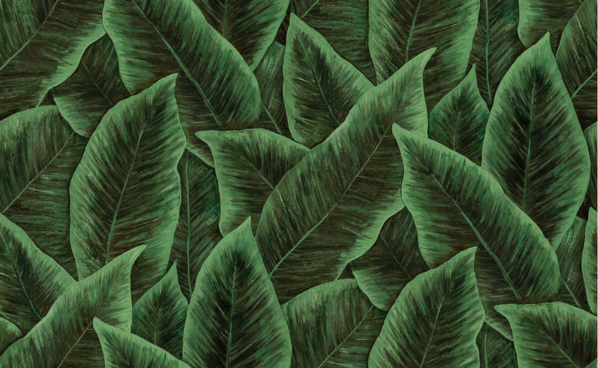 Arte Décors & Panoramiques 97572