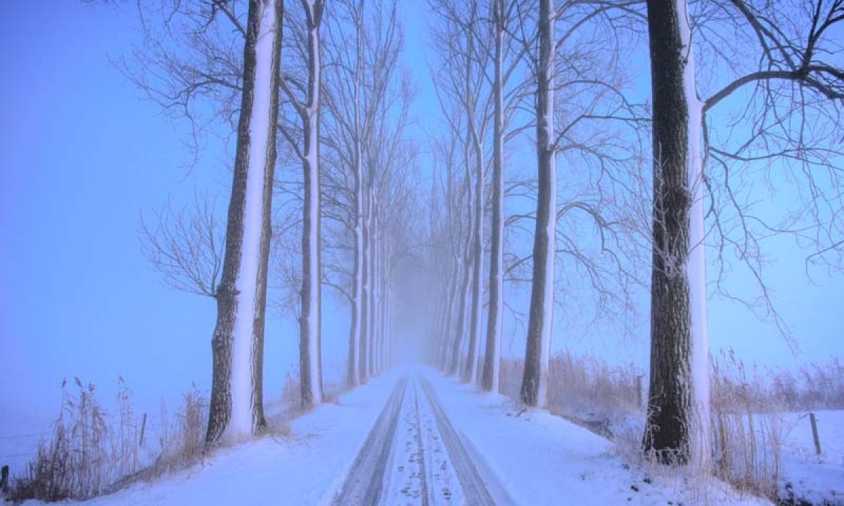 Noordwand Holland Winterochtend II 9836