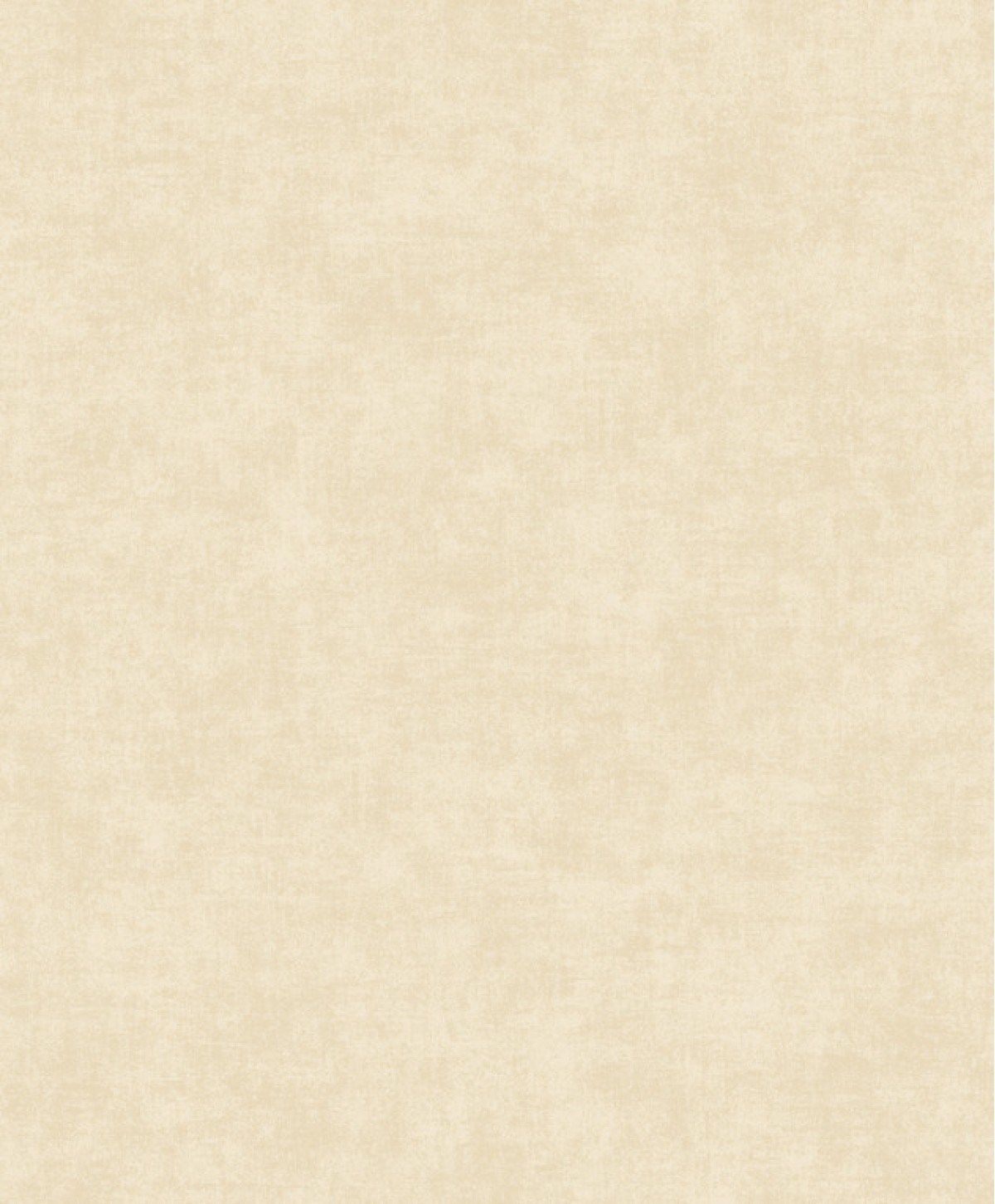 Ciara A53702