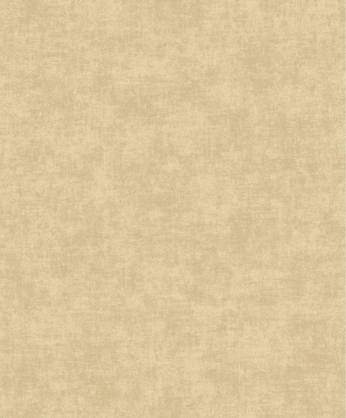 Ciara A53703