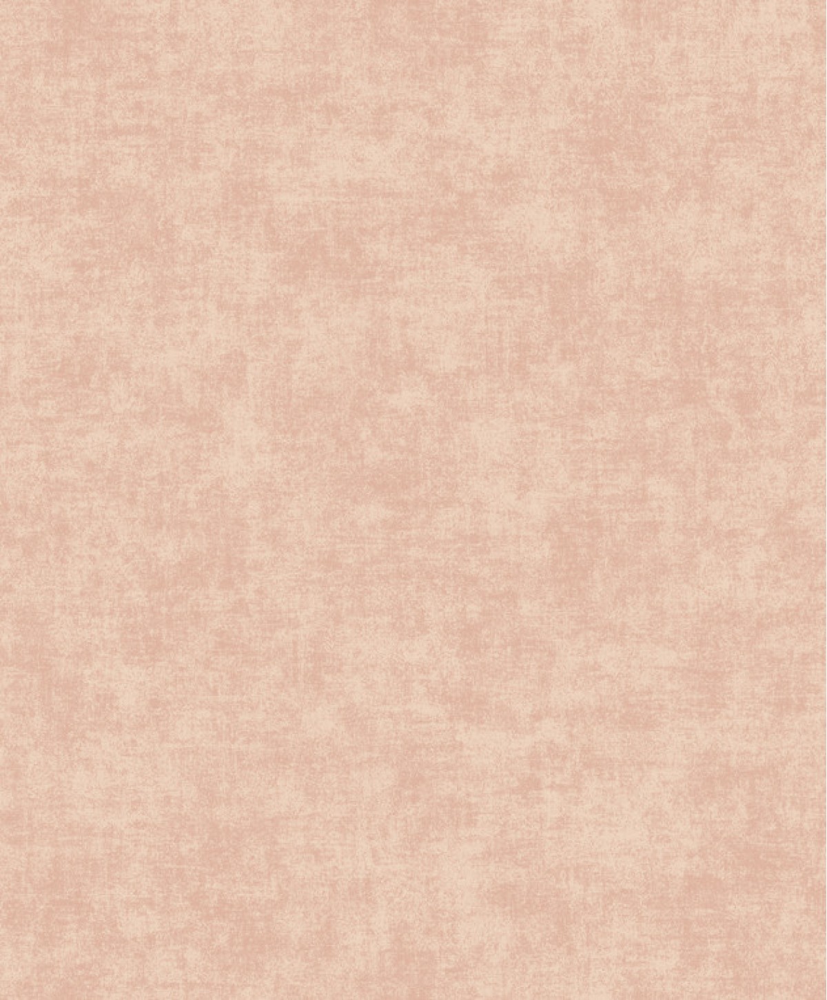 Ciara A53710
