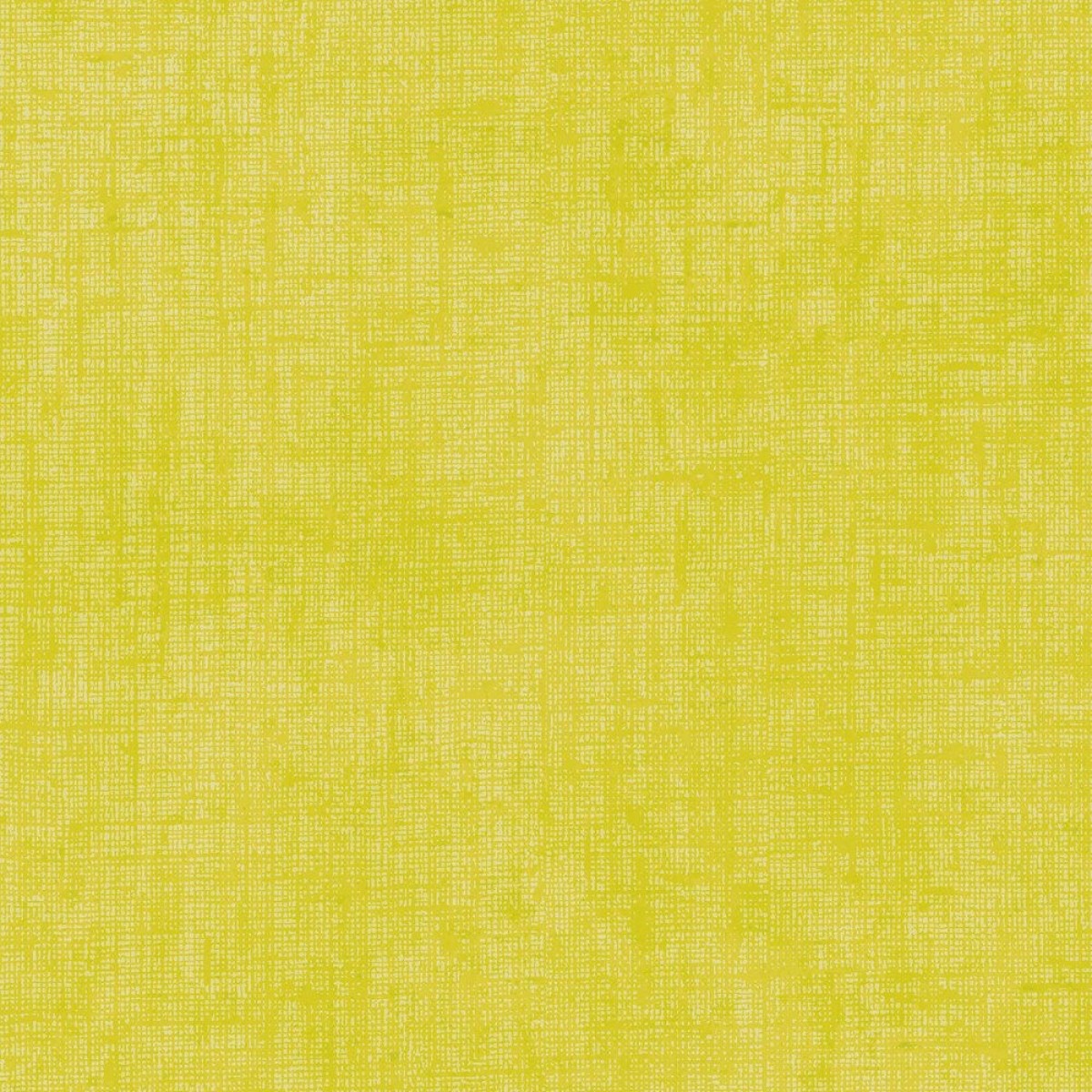 Lilly + Luis 77179-3