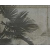 Designwalls II DD123512 Shade Of Palm 2