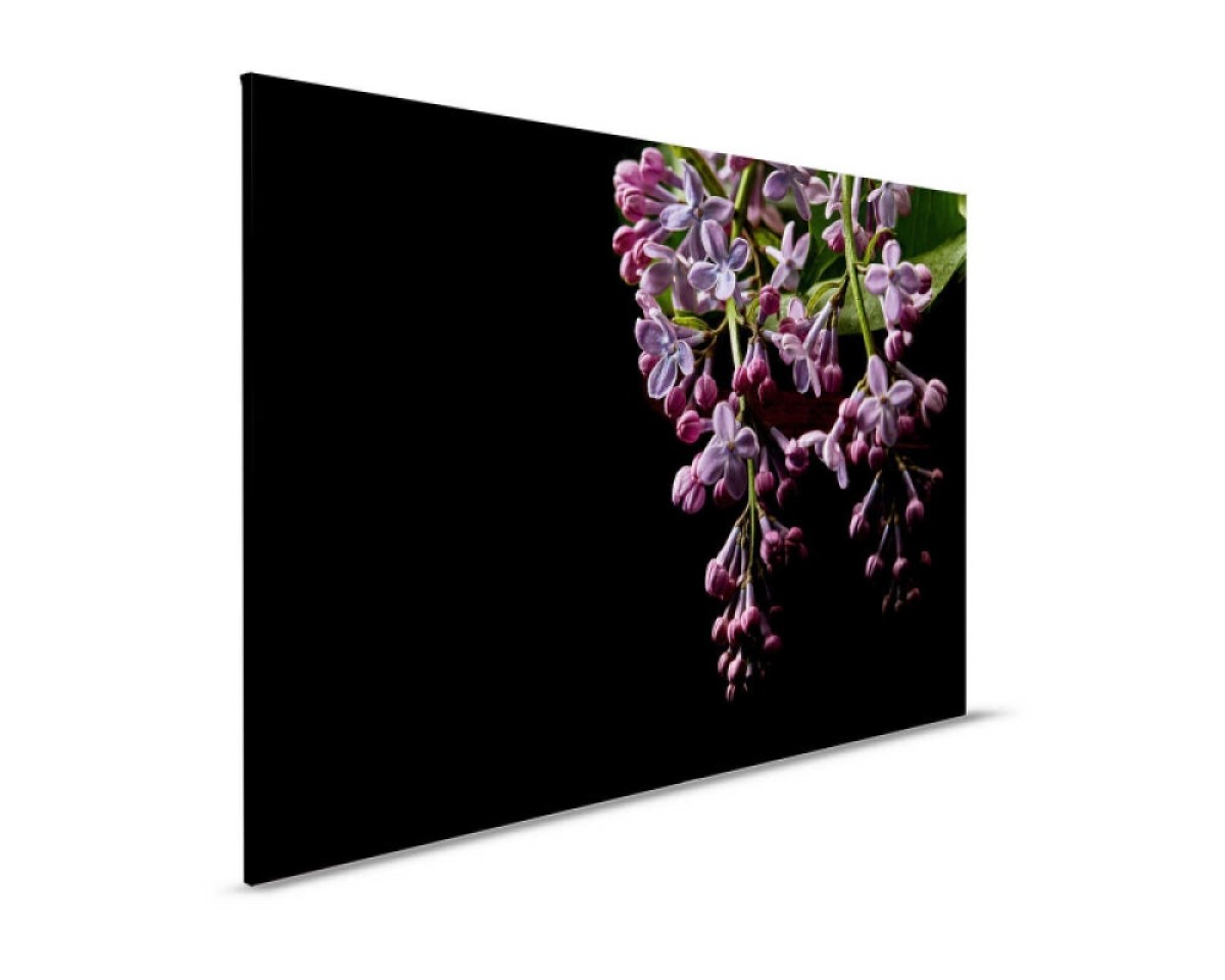 Designwalls II DD123826