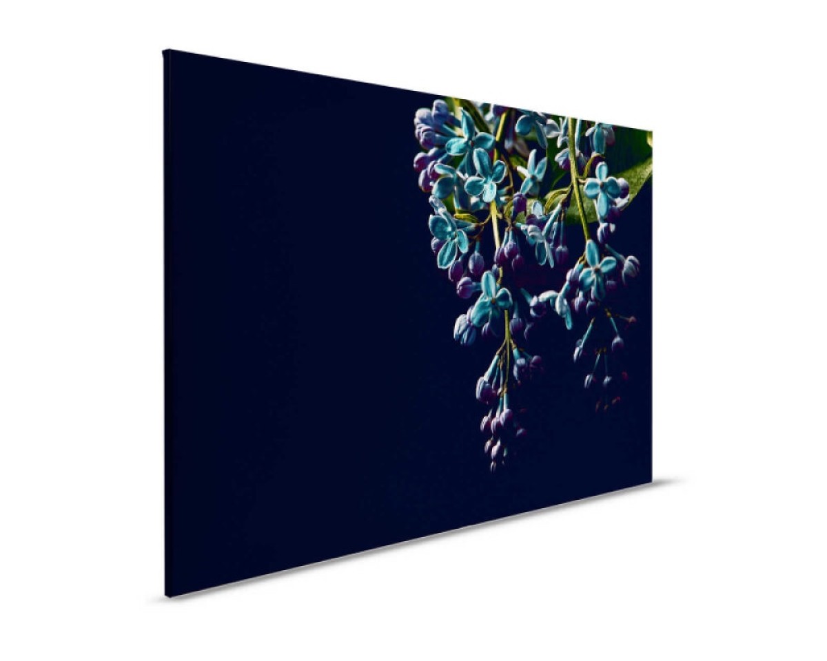Designwalls II DD123827
