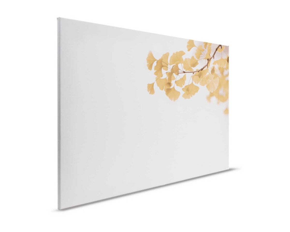 Designwalls II DD123829