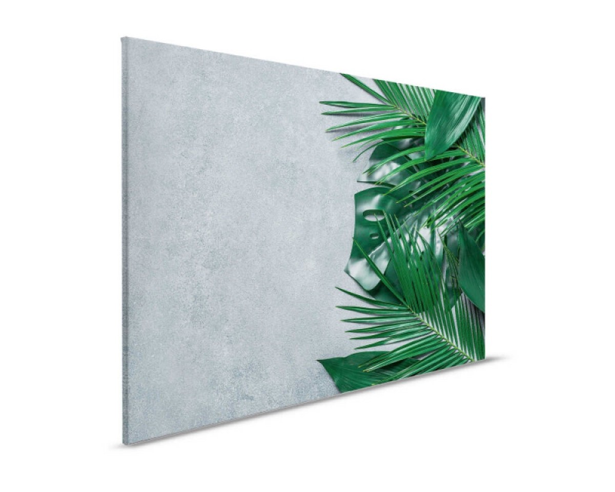 Designwalls II DD123830