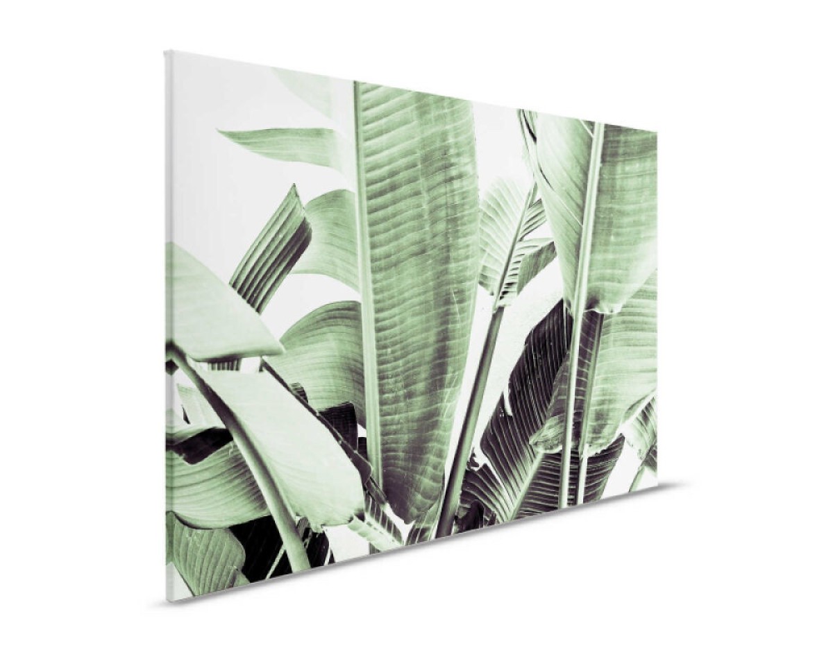 Designwalls II DD123832