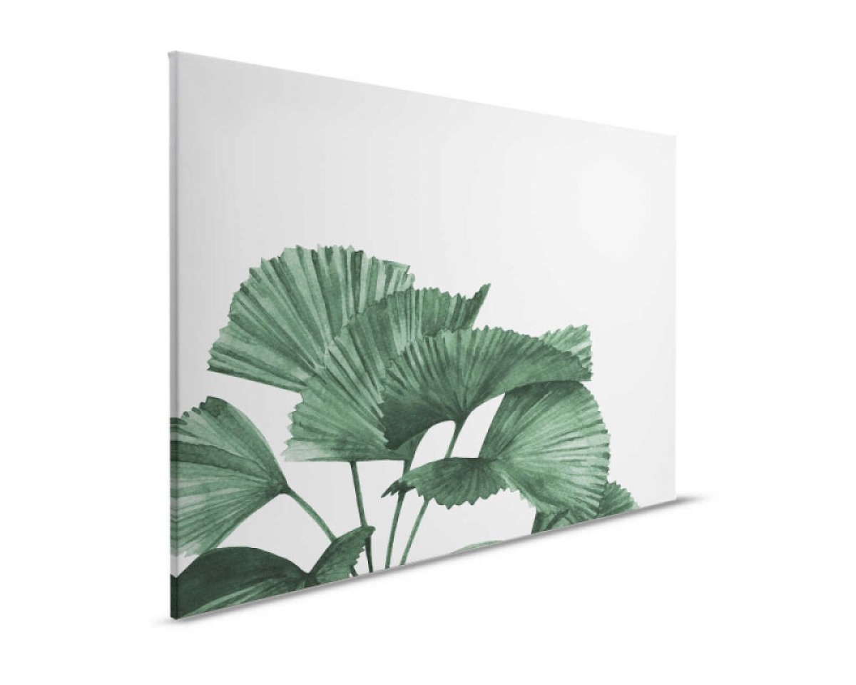 Designwalls II DD123833
