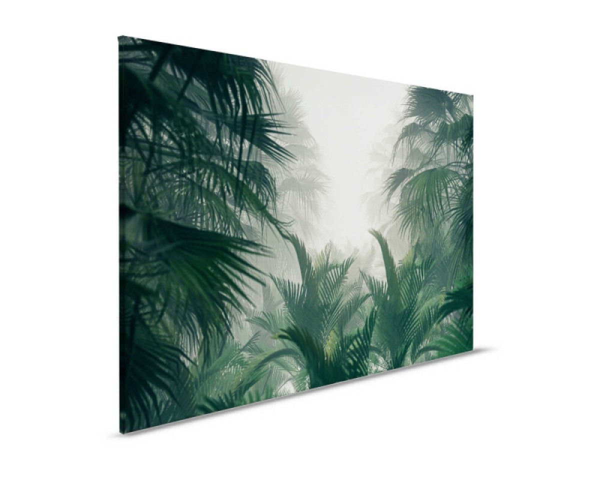 Designwalls II DD123837