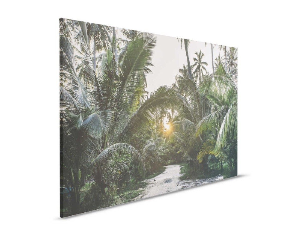 Designwalls II DD123838