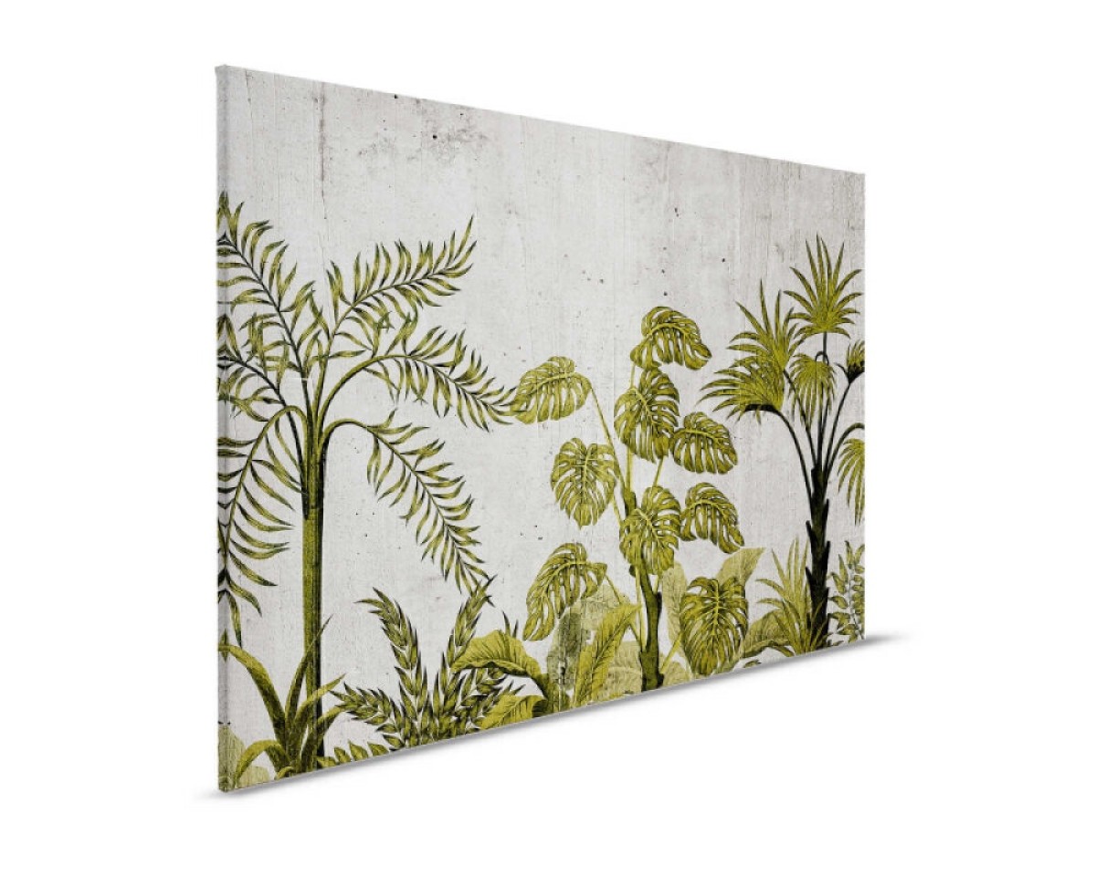 Designwalls II DD123844