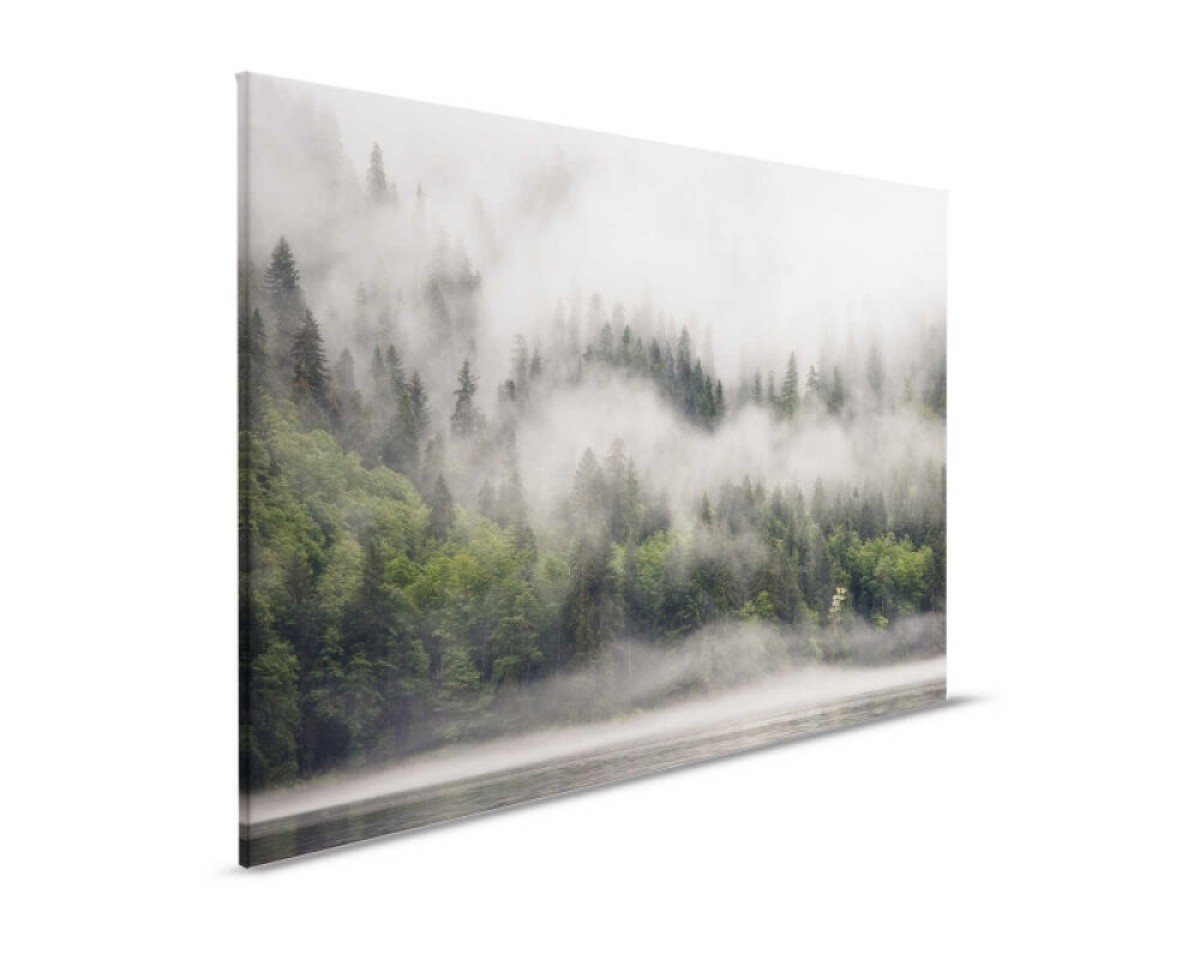 Designwalls II DD123854