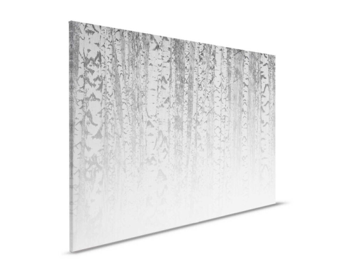 Designwalls II DD123856