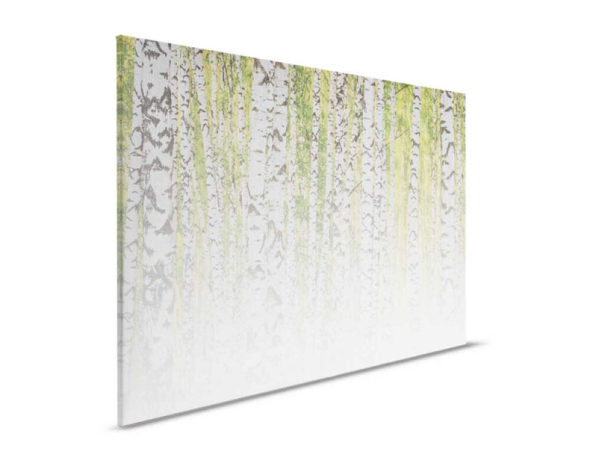 Designwalls II DD123857