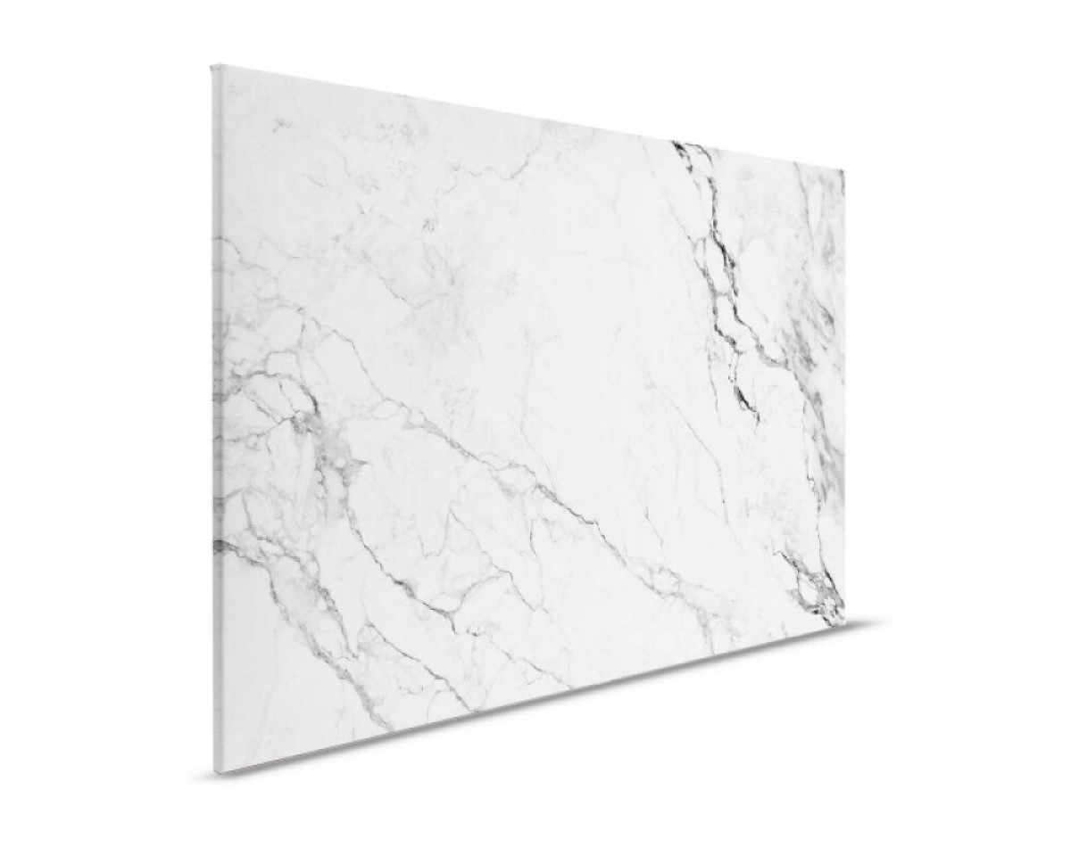 Designwalls II DD123904