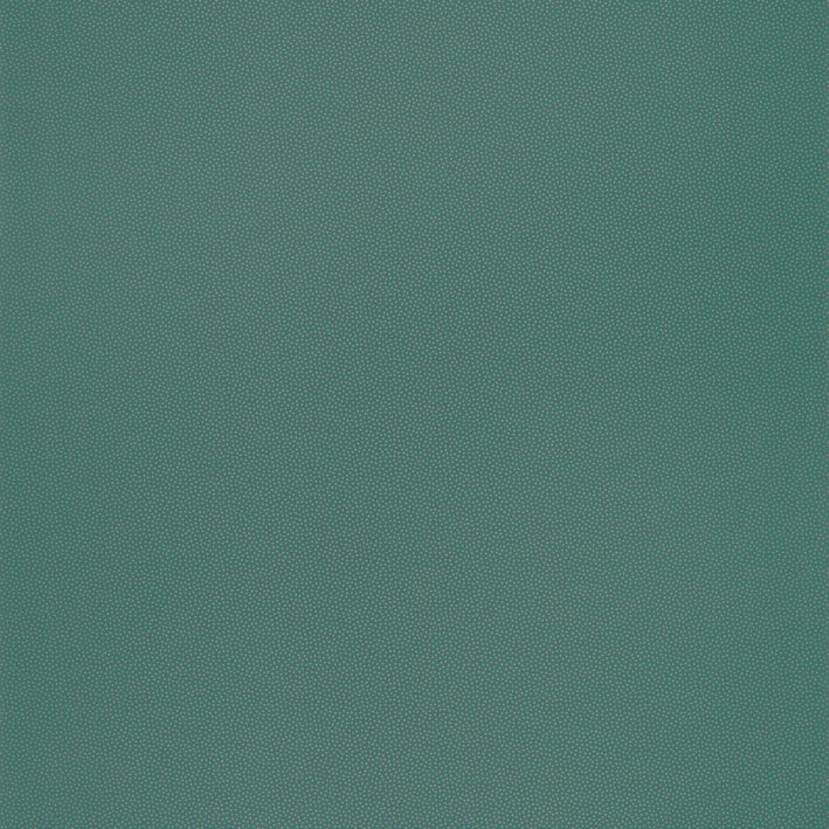 Caselio L' Odyssee OYS 10040 79 26