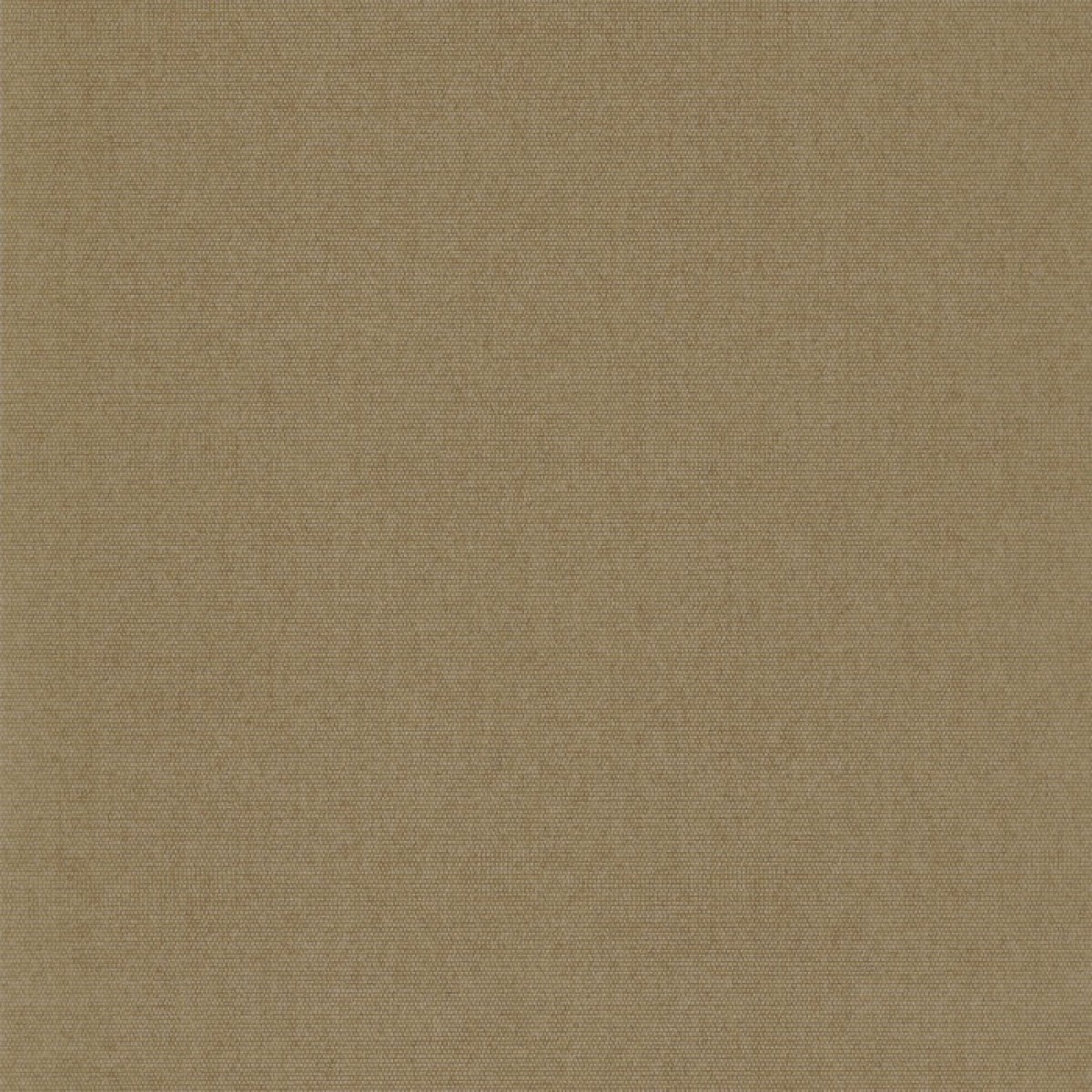 DERB 8207 24 61