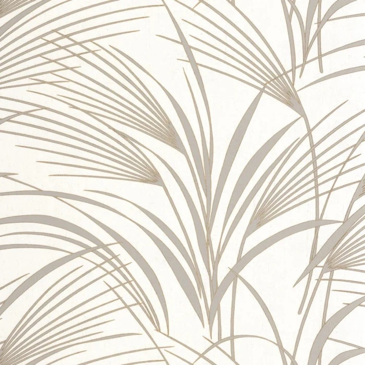 Babylone BBLN 8972 14 12