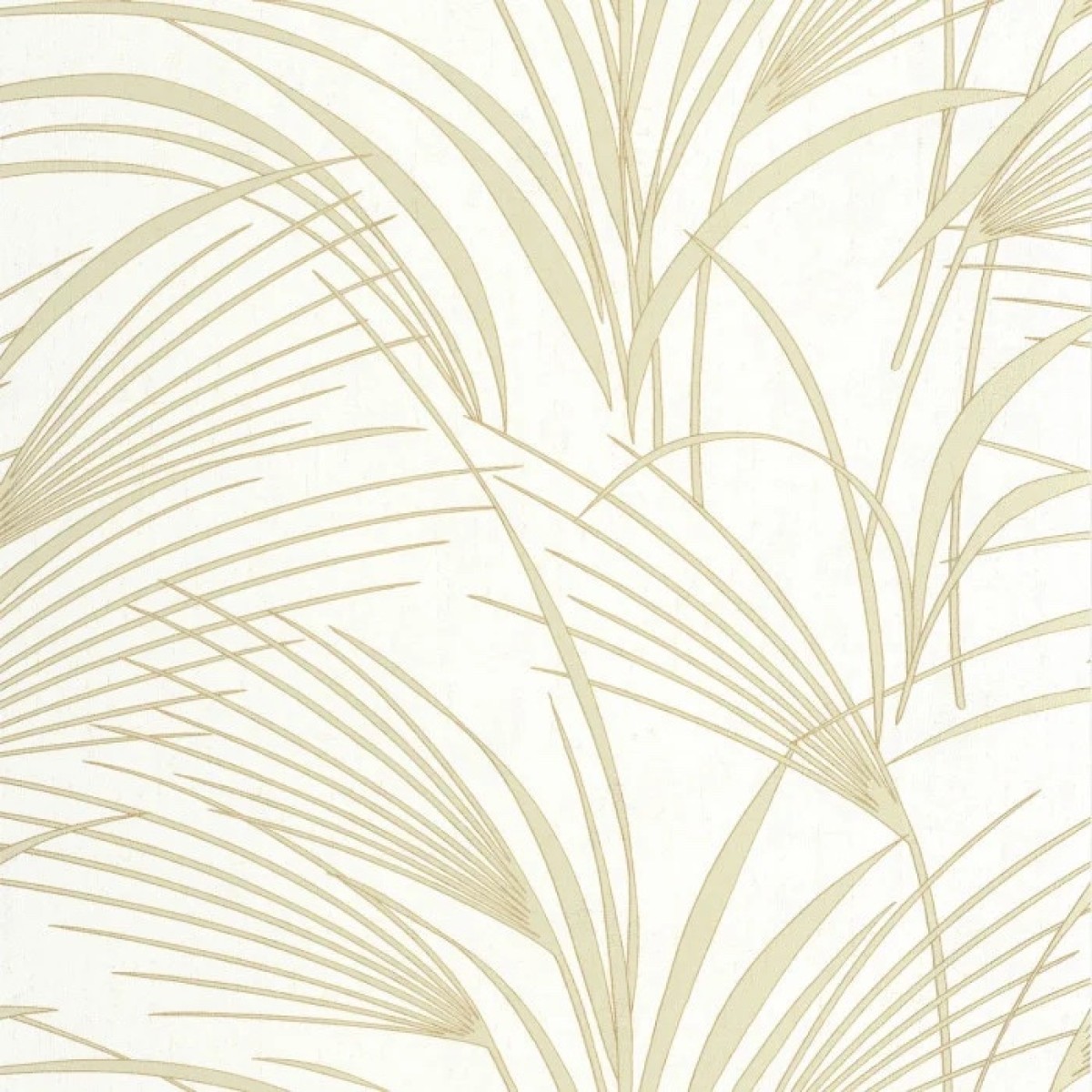 Babylone BBLN 8972 60 28